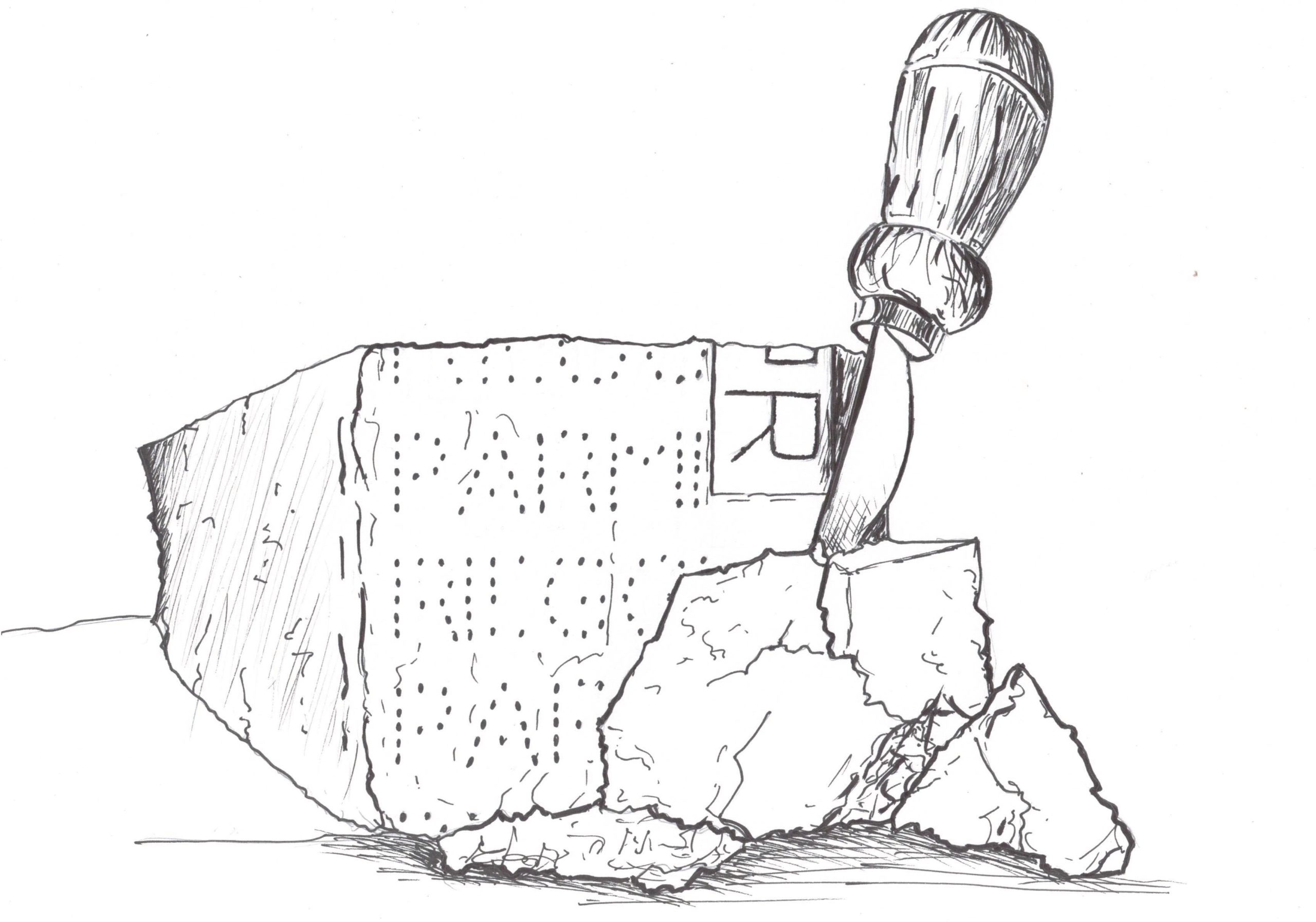 Parmesan